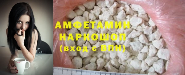 индика Алзамай