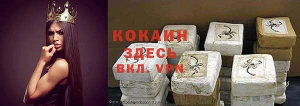 индика Алзамай