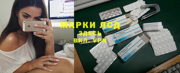 индика Алзамай