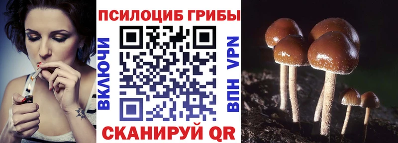 продажа наркотиков  Лукоянов  Галлюциногенные грибы Psilocybine cubensis 